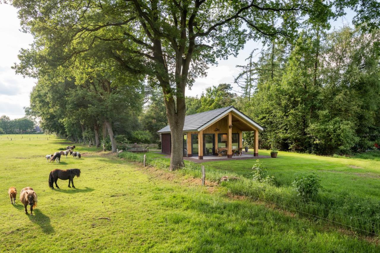 Bungalowpark Bij De Bronnen Nutter Buitenkant foto